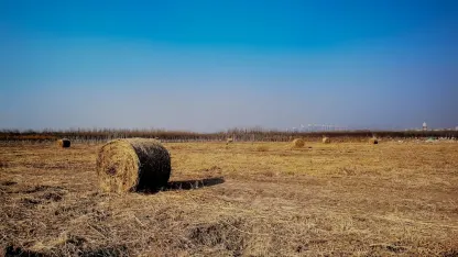 Kaszinó Adrenaline Mobilalkalmazás